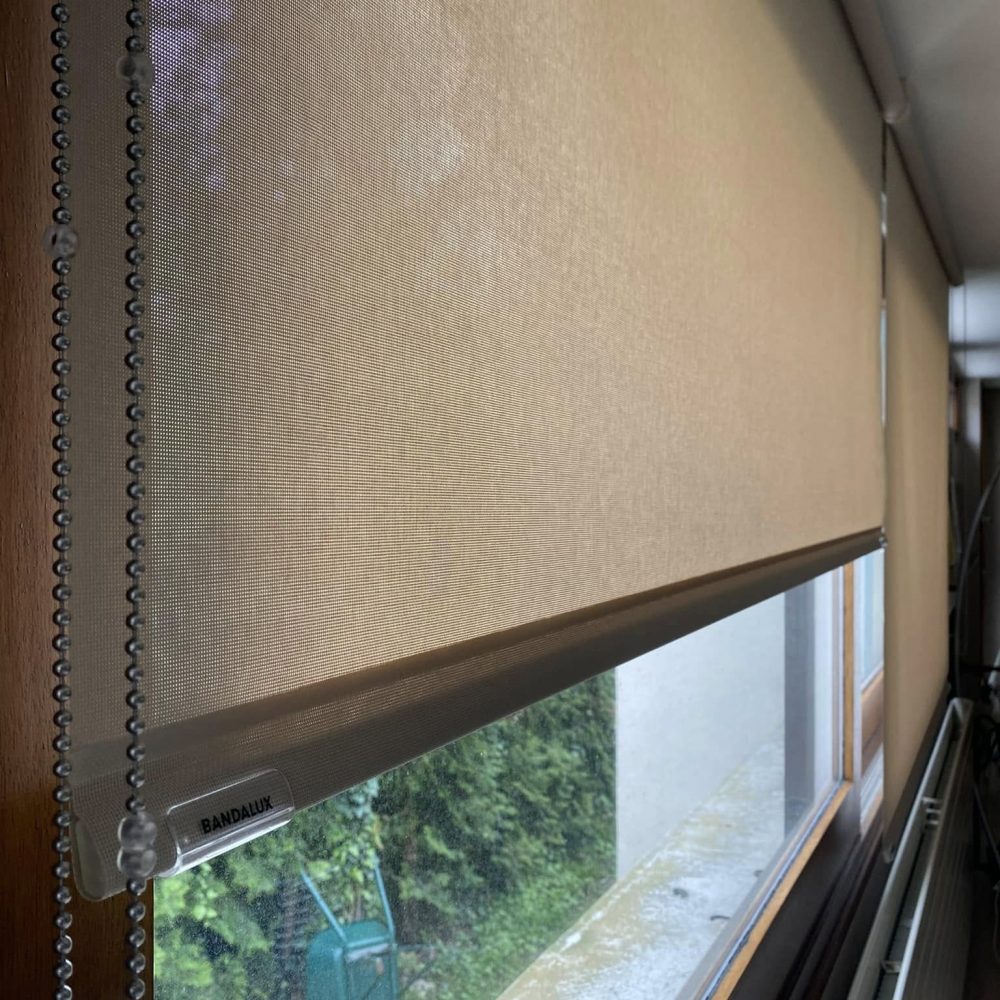 487096901_1167088481877372_7987408073972266579_n