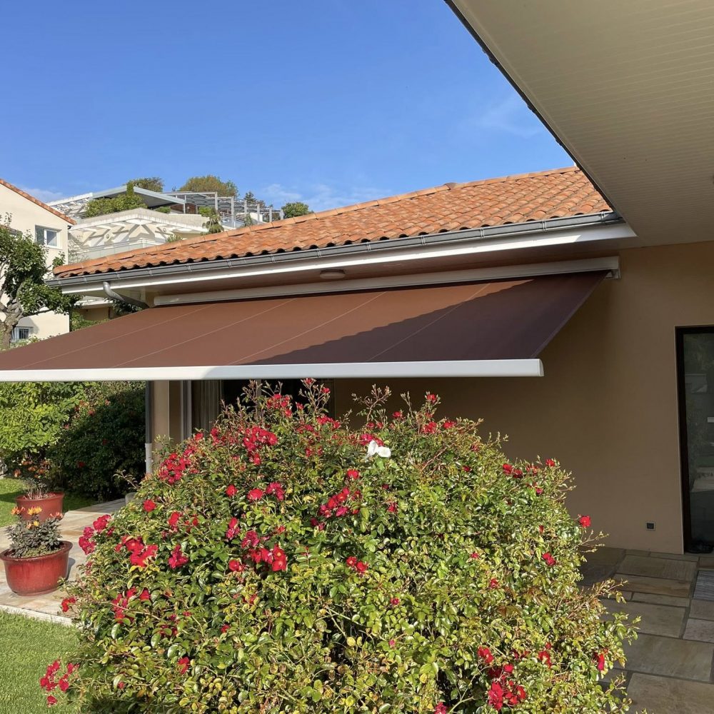 557597612_1317635350156017_1466423955653771042_n